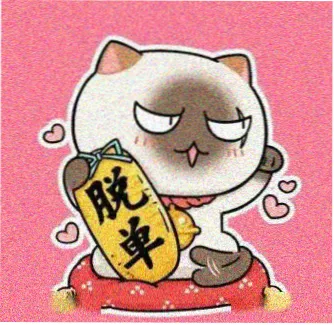 用户 雾港老观众 头像